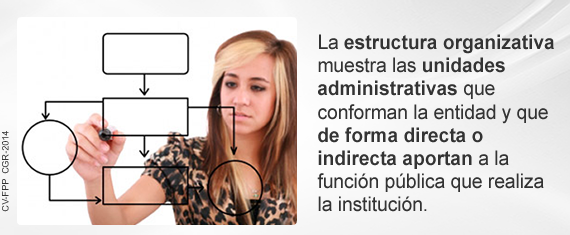 1-1-2-b-estructura-organizativa